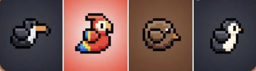 BIRD Daily Combo 29 May 2025